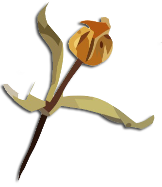 elrepion-flor-logo-color